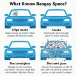 Types of Car Window Damage