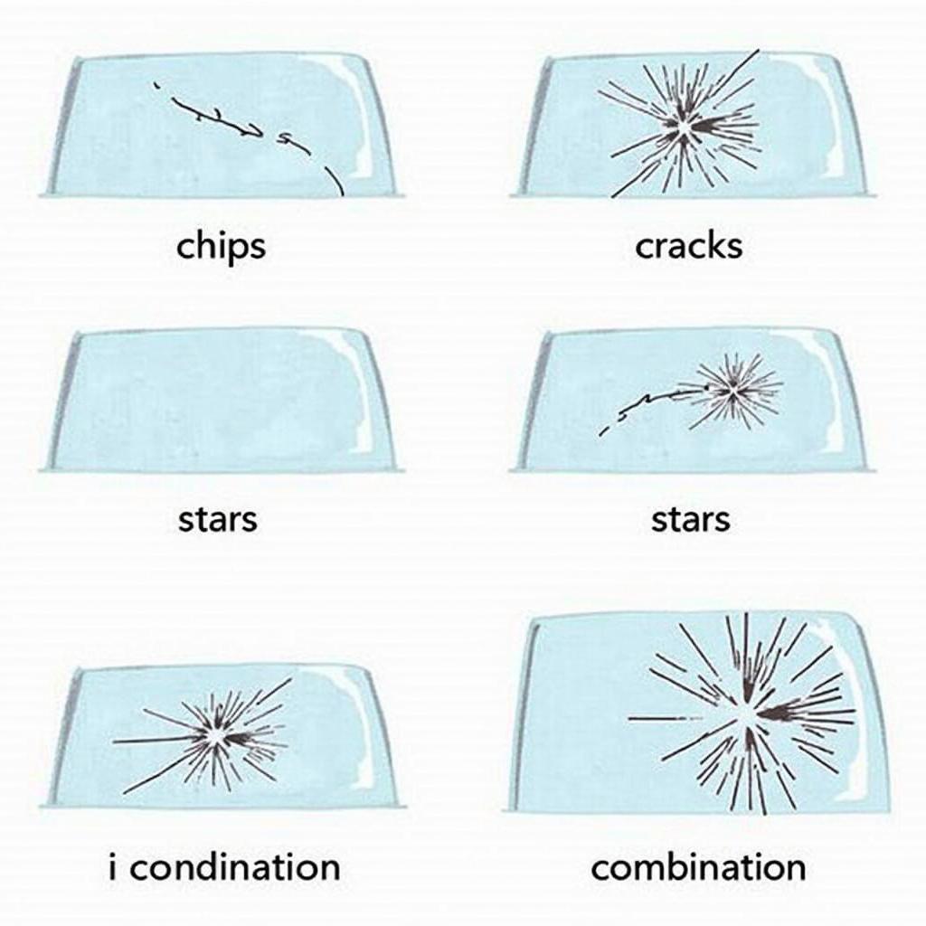 Different types of car window damage