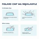 Types of windscreen chips