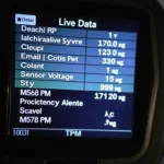 Live Data Display on a Universal Car Diagnostic Machine