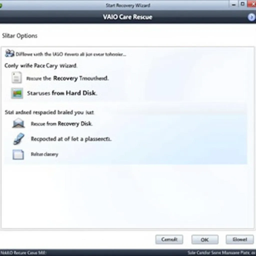 VAIO Care Rescue Interface