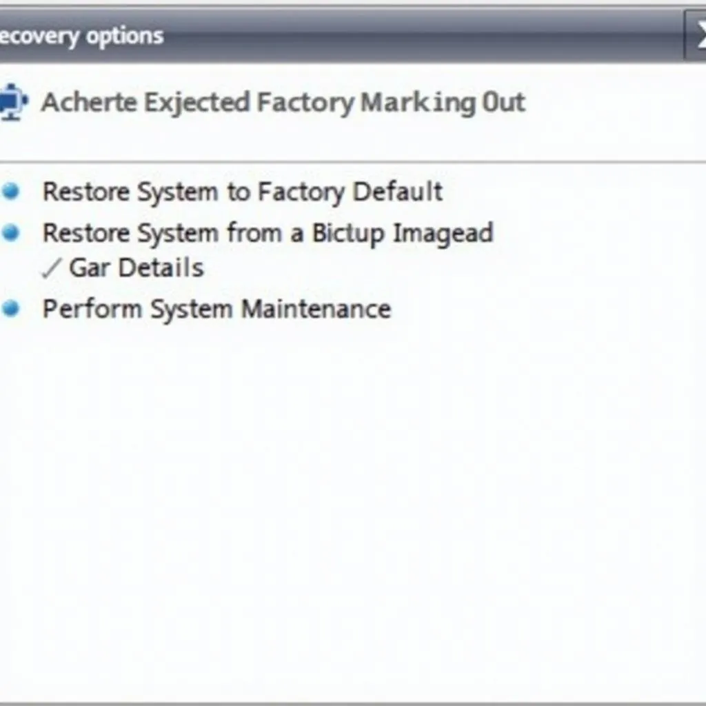 VAIO Care System Recovery Options