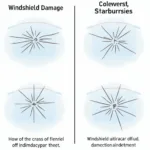 Types of Windshield Damage