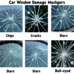 Types of Windshield Damage