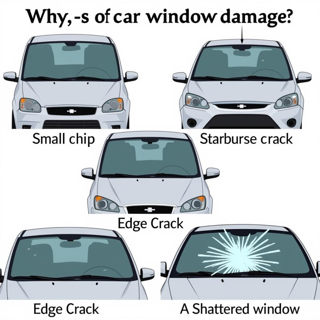 Types of Windshield Damage