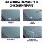 Types of Windshield Damage in Cookeville