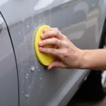 Applying Car Wax for Protection