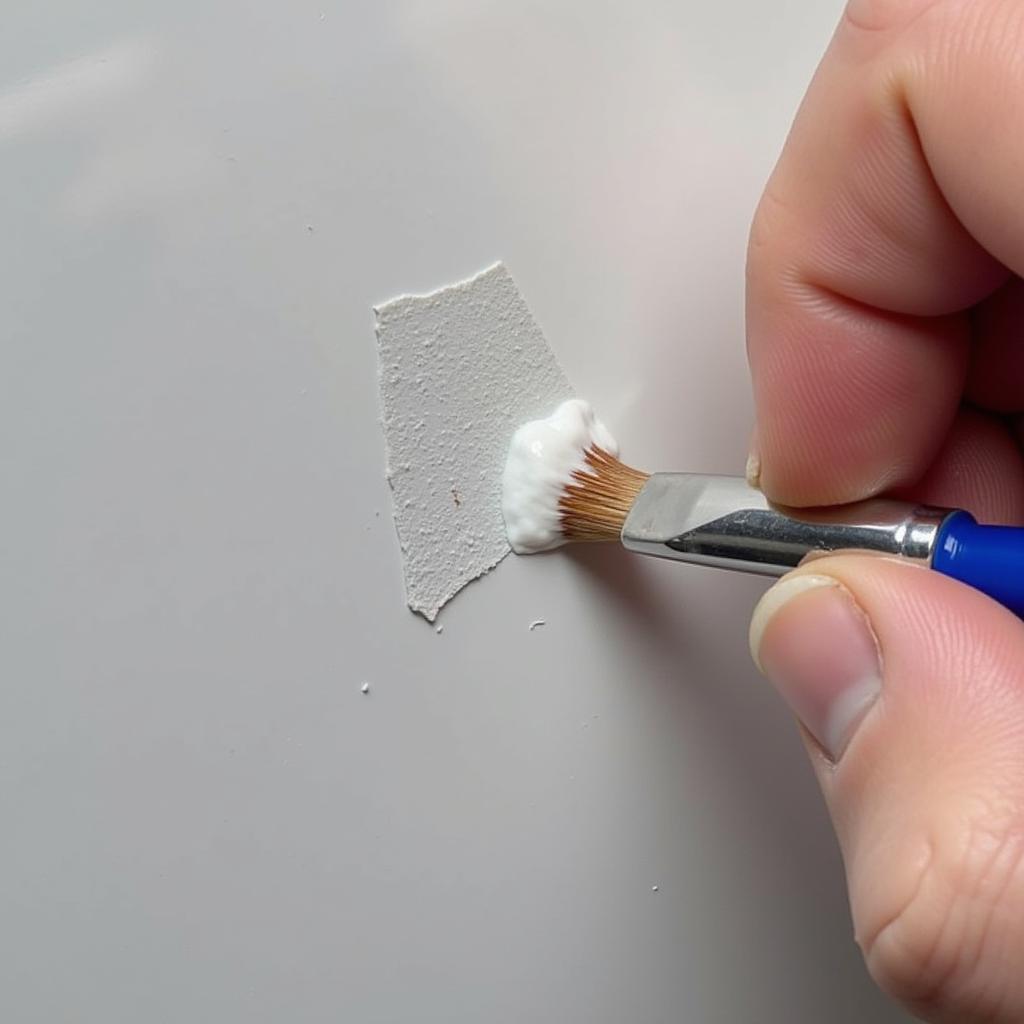 Precise Application of Touch-up Paint to Car Chip