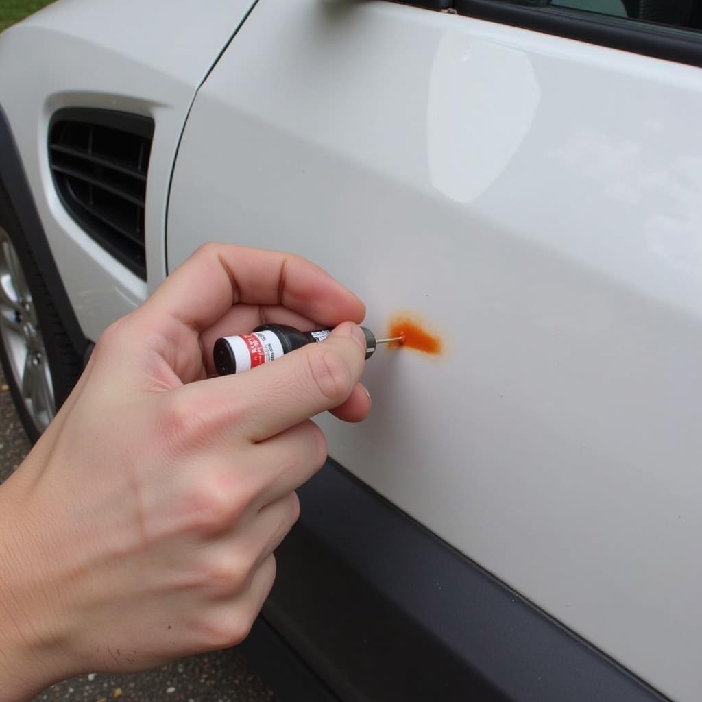 Applying Touch Up Paint to Car Scratch