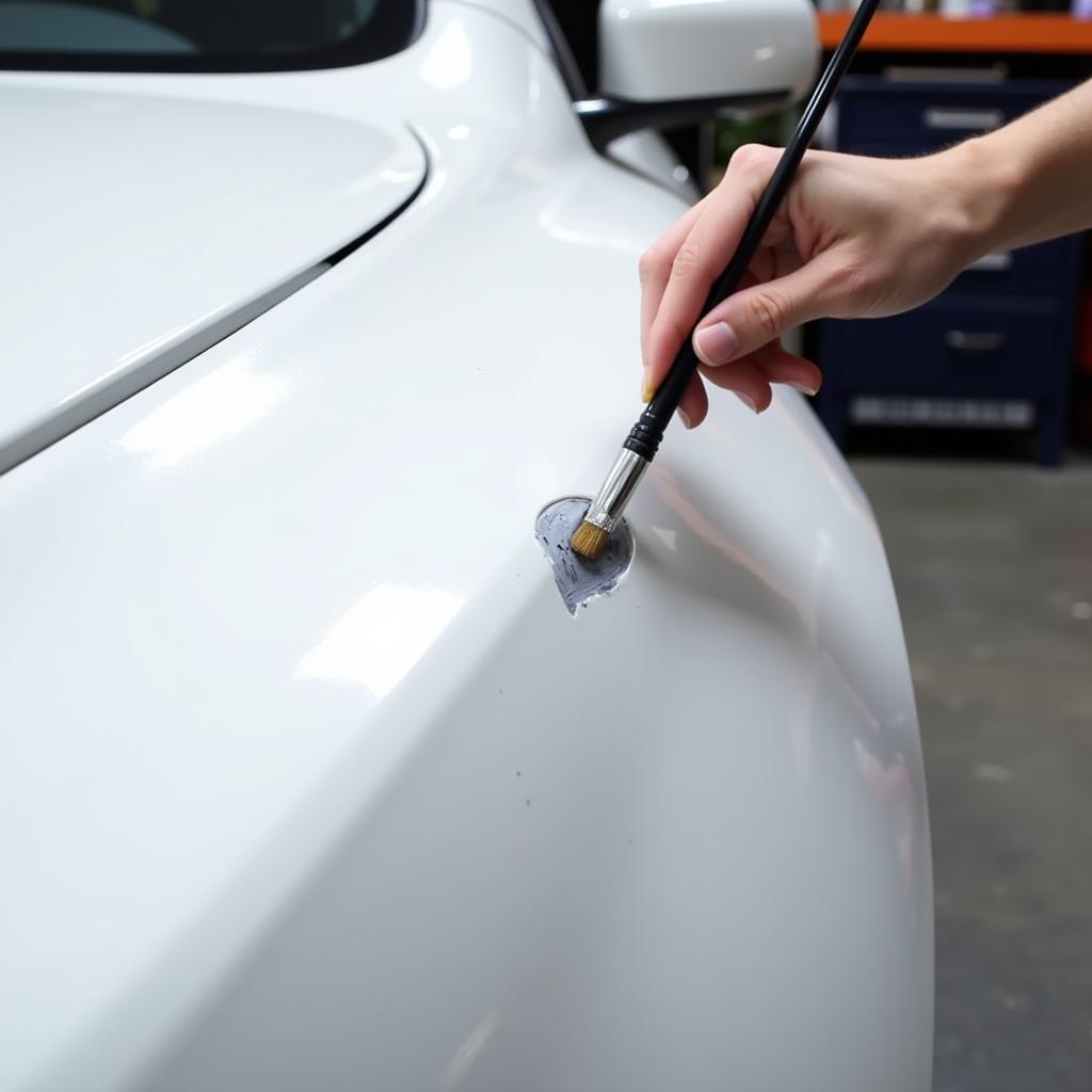 Applying Touch-Up Paint to a White Car