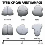 Assessing Car Paint Damage: Types and Severity