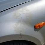 Bat guano damage on car paint