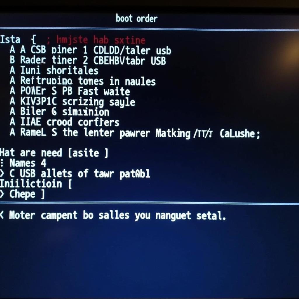 BIOS Settings Screen Showing Boot Order