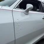 Close-up of bird dropping damage on car paint, showing etching and discoloration.