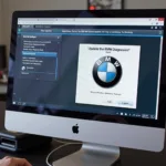 Updating BMW Diagnostic Software