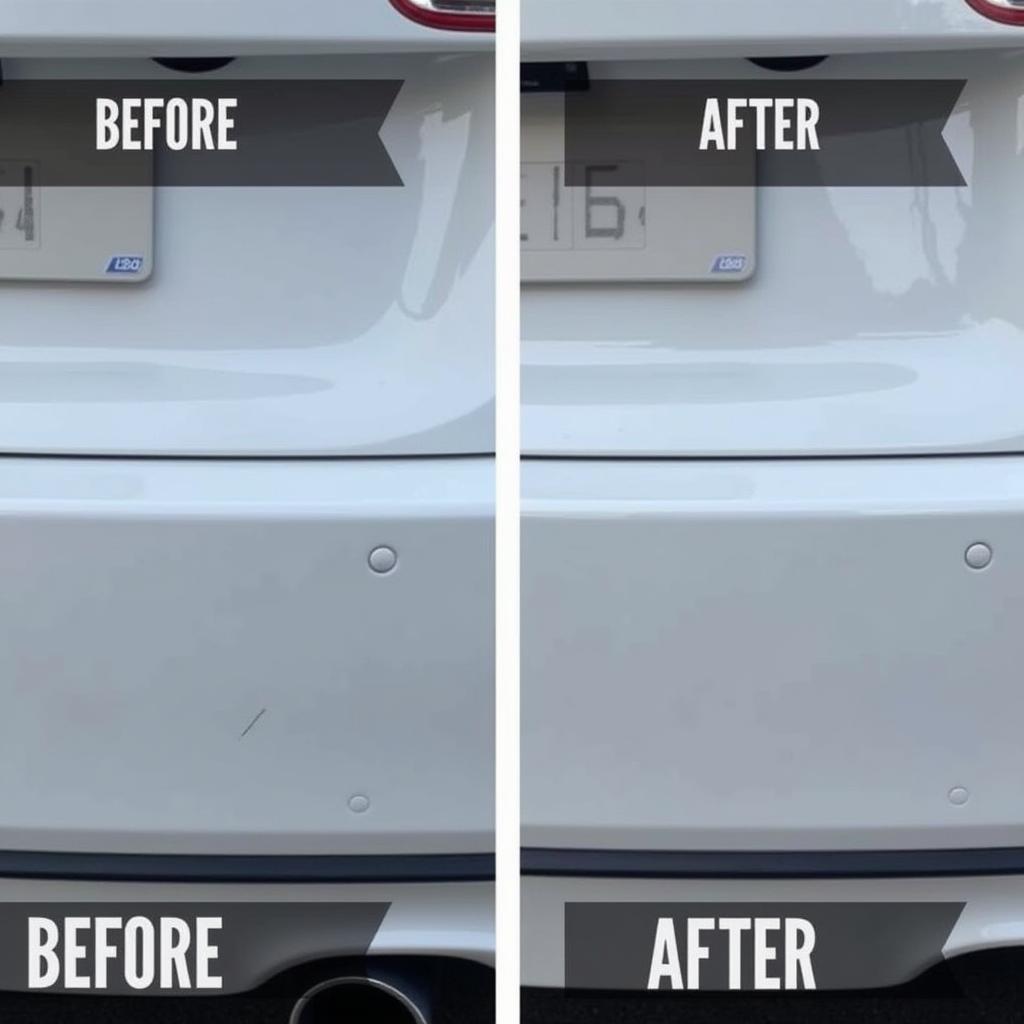 BMW Paint Repair Before & After