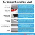 Assessing Car Bumper Scratch Severity in Sydney