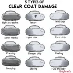 Types of Clear Coat Damage on a Car