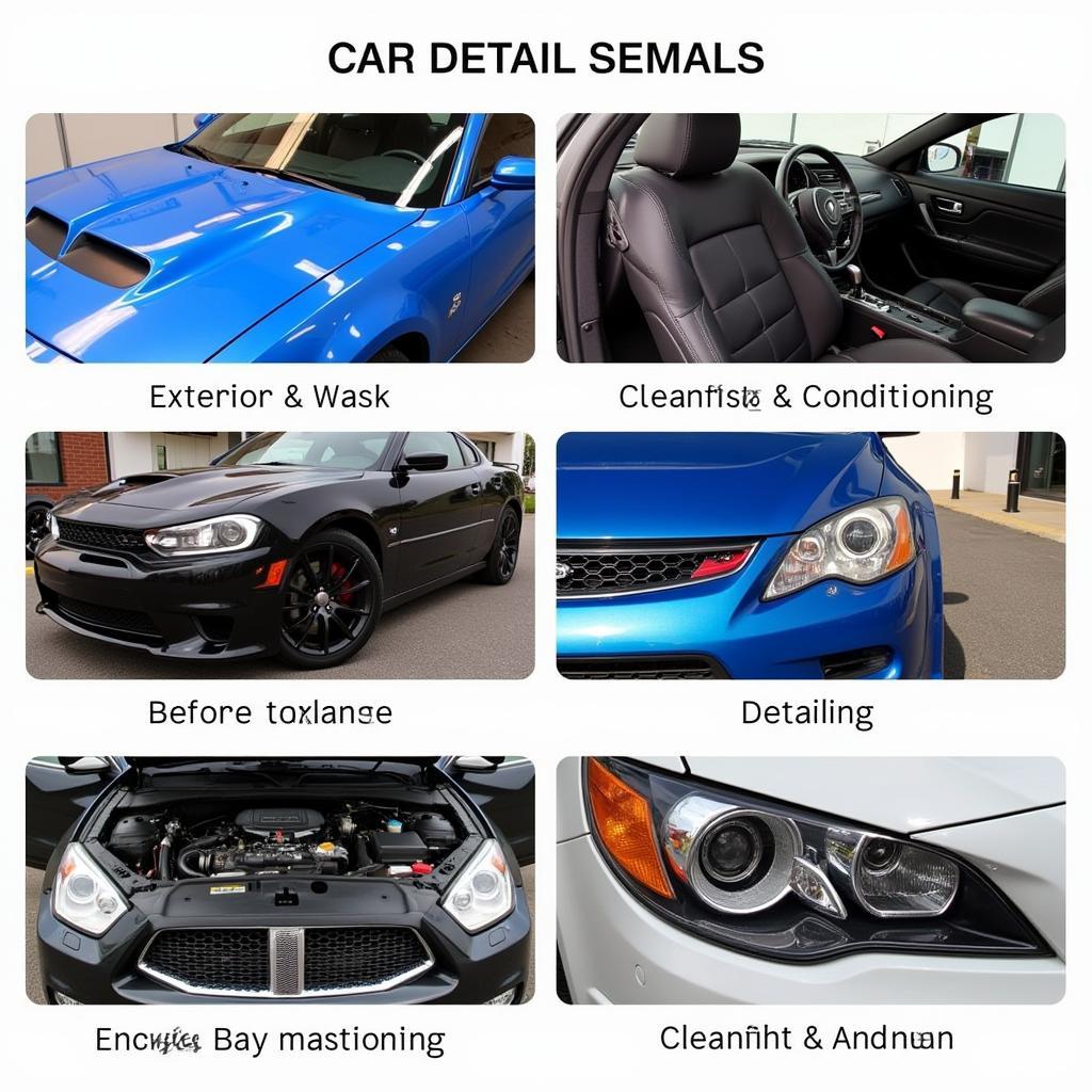 Car Detailing Services