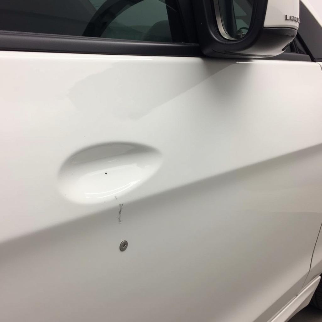 Car Door After Paint Chip Repair