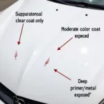 Types of Car Hood Paint Chips