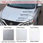 Types of Car Hood Paint Damage