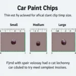 Car Paint Chip Size Comparison: Small, Medium, and Large