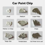 Types of Car Paint Chips