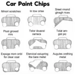 Types of Car Paint Chips