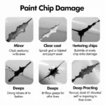 Types of Car Paint Chips