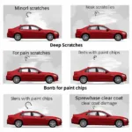 Types of Car Paint Damage