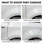 Types of Car Paint Damage