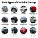 Types of Car Paint Damage