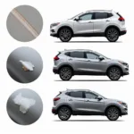 Types of Car Paint Damage