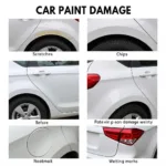 Types of Car Paint Damage