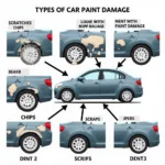 Types of Car Paint Damage