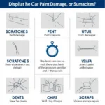 Types of Car Paint Damage