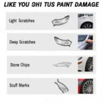 Types of Car Paint Damage