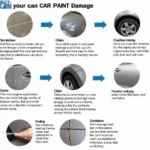 Types of Car Paint Damage