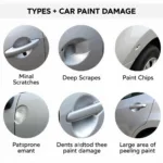 Types of Car Paint Damage