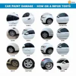 Different Types of Car Paint Damage