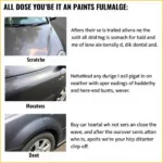 Types of Car Paint Damage in Aberdeen