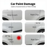 Types of Car Paint Damage in Amesbury