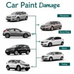 Types of Car Paint Damage in Canterbury