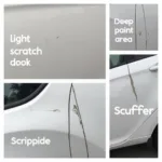 Different Types of Car Paint Damage in Dorset