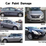 Types of Car Paint Damage in Dubai