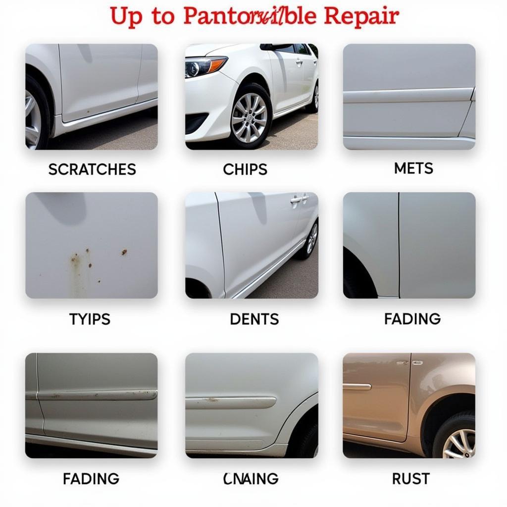 Types of Car Paint Damage in Dunstable