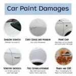 Different Types of Car Paint Damage in Georgetown