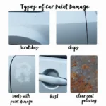 Types of Car Paint Damage in Jeffersonville, IN