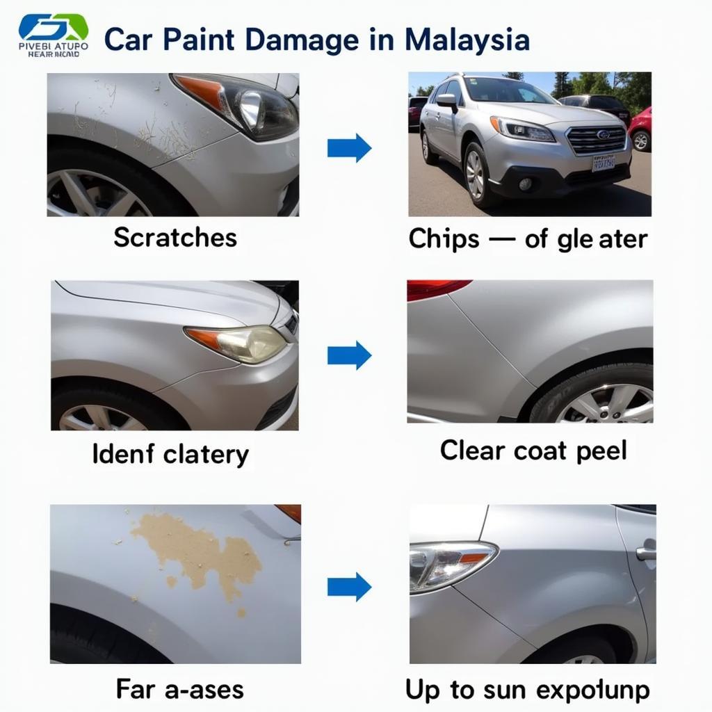 Types of Car Paint Damage in Malaysia